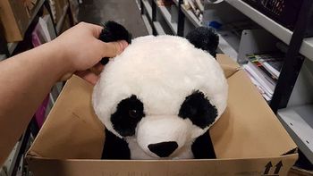 La conmovedora carta de un nene que quería un panda de peluche La conmovedora carta de un nene que quería un panda de peluche