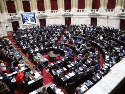 Tras rechazar los vetos de Milei, diputados cantaron Karina es alta coimera