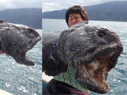 fue a pescar cerca de fukushima y saco un pez de apariencia prehistorica fue a pescar cerca de fukushima y saco un pez de apariencia prehistorica