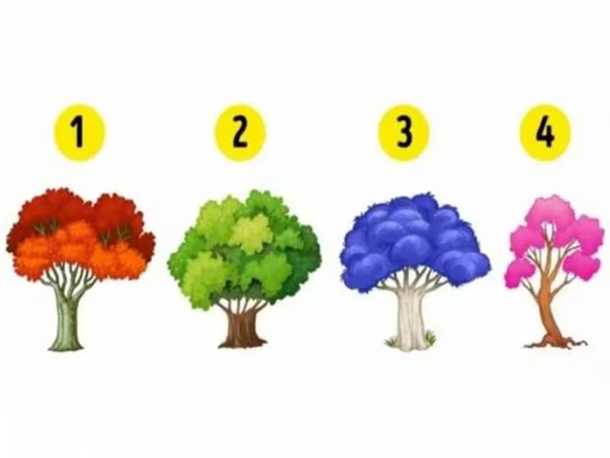 Test viral: el árbol que elijas revelará datos claves sobre tu personalidad
