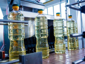 La Anmat prohibió la venta del hongo de la inmortalidad y de dos aceites de girasol