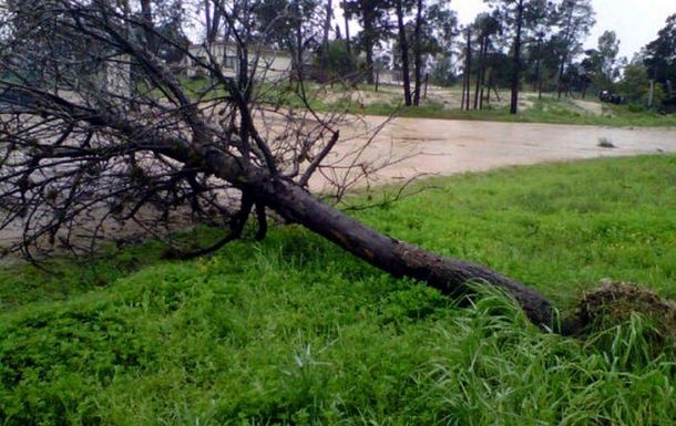 Pepe Mujica se lesionó al ayudar a un vecino por el temporal