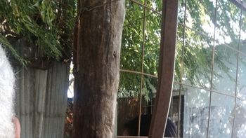 Nora González, la pareja de Sebastián Wagner Nora González, la pareja de Sebastián Wagner