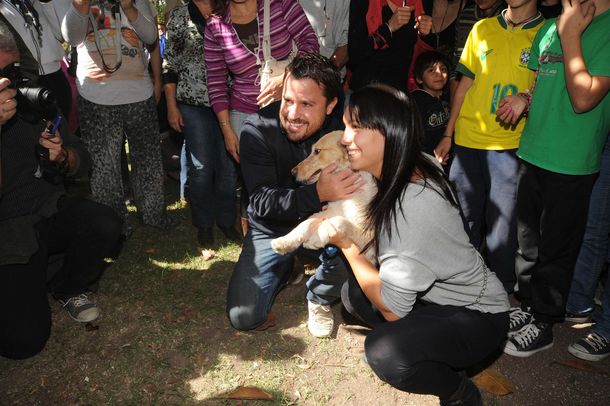 La Plata: unas 30 mascotas se reencontraron con sus dueños