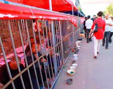 Instalan jaulas en la calle para que mendigos no molesten a los turistas