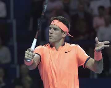 Juan Martín Del Potro venció al holandés Robin Haase por la primera ronda del ATP de Basilea