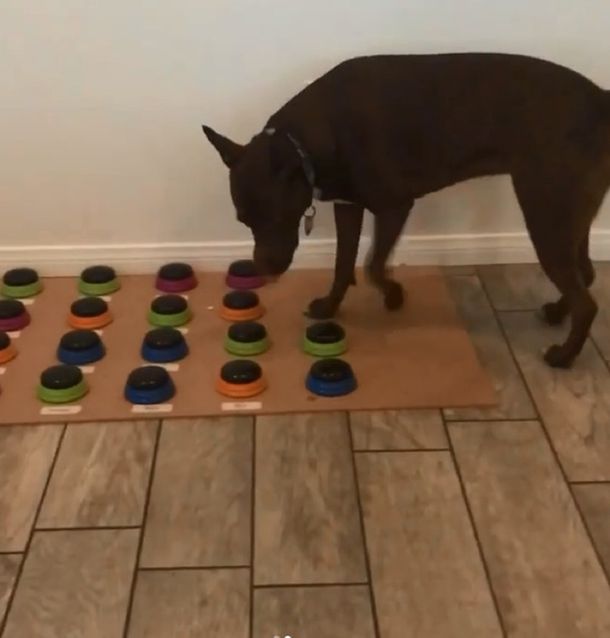 Créditio: hunger4words