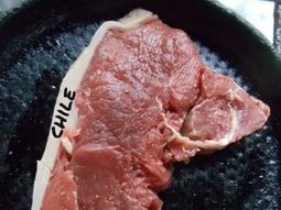 mira los memes que calientan la final entre argentina y chile mira los memes que calientan la final entre argentina y chile