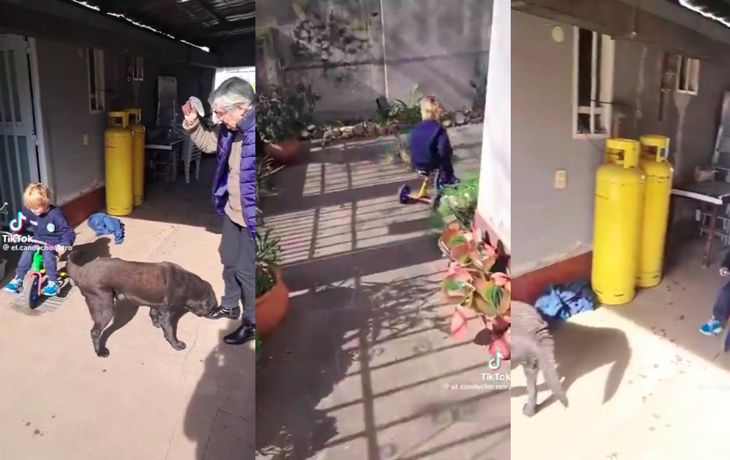 ¡Qué tiempazo!: un abuelo jugó a Franco Colapinto con su nieto y se volvió el viral más tierno