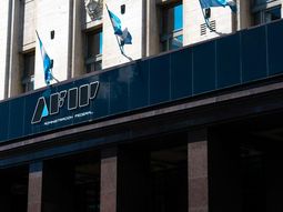 Impuesto a las grandes fortunas: la Justicia ordenó a la AFIP que no le cobre a un empresario