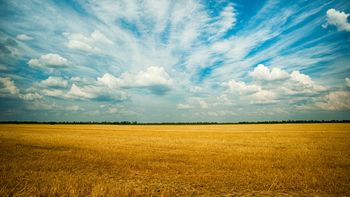 La triple suba en los precios de exportación son buenas noticias para el agro uruguayo. La triple suba en los precios de exportación son buenas noticias para el agro uruguayo.