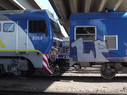 Dañan formaciones nuevas de ferrocarril San Martín