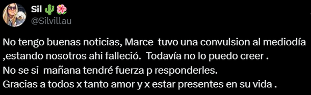 De la ternura a la tristeza: murió Marcelito, el caniche que alegró las redes