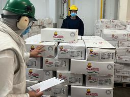 Las exportaciones de carne aviar se encuentran en niveles récord en los primeros dos meses del año. Las exportaciones de carne aviar se encuentran en niveles récord en los primeros dos meses del año.