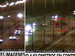 iba a contramano, choco y mato a dos personas en la panamericana iba a contramano, choco y mato a dos personas en la panamericana