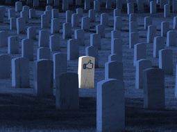 segun un estudio, usar facebook hace mas infelices a sus usuarios segun un estudio, usar facebook hace mas infelices a sus usuarios