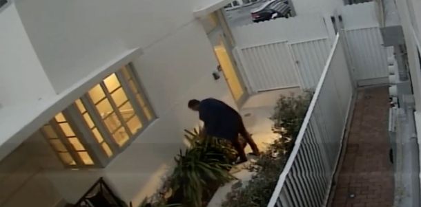 Mató a un gato con una ballesta&nbsp;