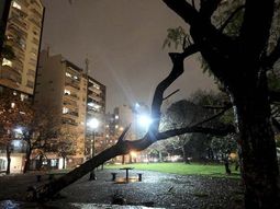 continua el alerta por vientos intensos para ciudad y la provincia continua el alerta por vientos intensos para ciudad y la provincia