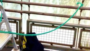 tragedia en las cataratas: se subio a una pasarela, se tiro al vacio y lo filmaron tragedia en las cataratas: se subio a una pasarela, se tiro al vacio y lo filmaron