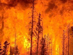 Incendios forestales en Chile: sube a 24 la cifra de muertos