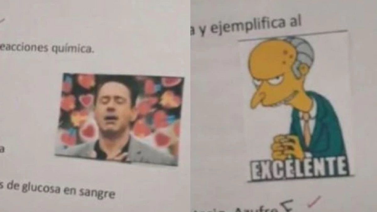 Quién es la docente que corrige con memes