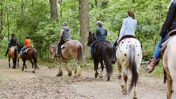 Complejo Tunquelen. Complejo Tunquelen.