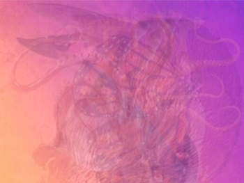 El test que revela tus mejores cualidades según lo primero que veas