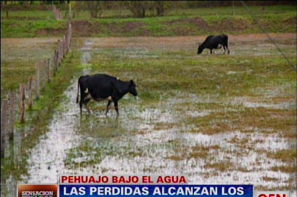 Rematan terrenos a una empresa por deuda de $290 mil