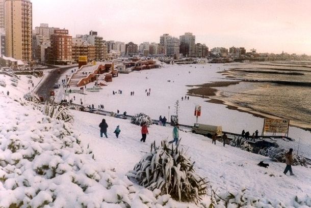 Nieve mardel