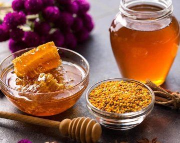 ¿Propóleo en alimentos? Sus beneficios y propiedades