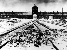 Nazi