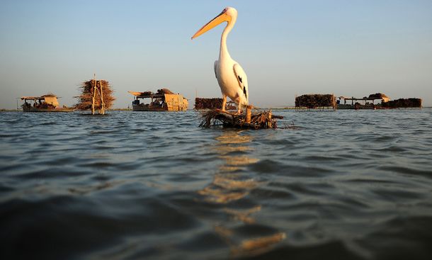 El lago más grande de Pakistán, cada vez más envenenado