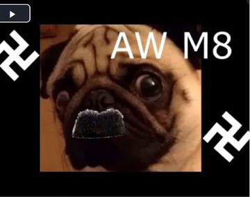 Le enseñó a su perro a hacer el saludo nazi