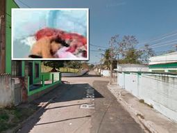 un dia despues, temer condeno el abuso sexual que conmueve a brasil un dia despues, temer condeno el abuso sexual que conmueve a brasil