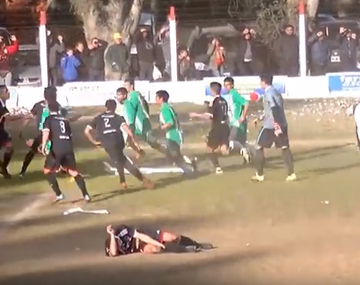 Tiran armadillo y terminan a las piñas