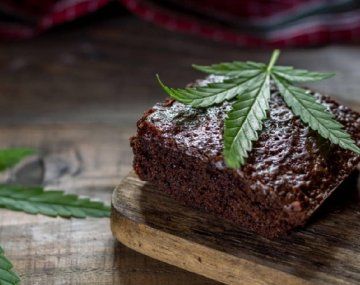 Córdoba: estudiantes llevaron brownies con marihuana a la escuela y terminaron intoxicados.