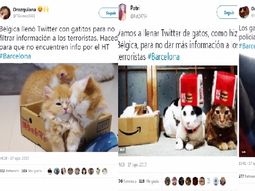 Los usuarios atestaron las redes de gatos para  que no se difundiera información