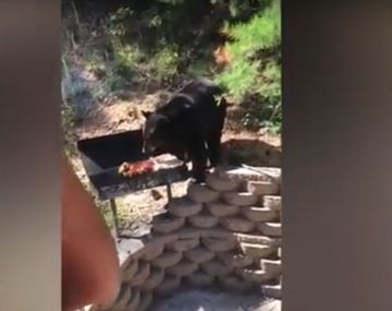 Un oso quiere robarles la carne de la barbacoa y ellos le hacen frente&nbsp;