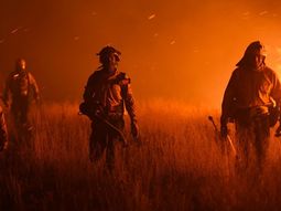 El fuego en La Pampa hizo estragos: habría 960.000 hectáreas quemadas El fuego en La Pampa hizo estragos: habría 960.000 hectáreas quemadas