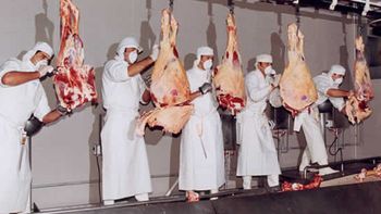 Carniceros. Imagen de archivo Carniceros. Imagen de archivo