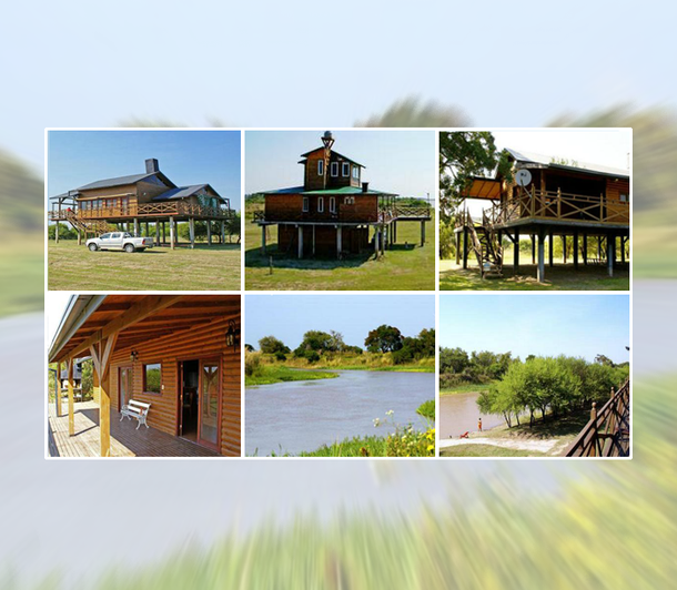 La estancia donde descansa Del Potro luego de la eliminación en la Copa Davis