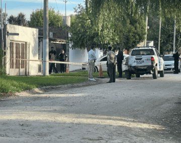 Un pitbull atacó y mató a una bebé de un año y medio