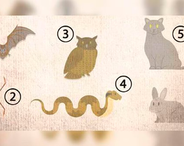 Cómo es tu esencia según el animal que elijas en este test viral