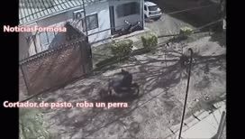 video: robaron una perra, fueron escrachados y terminaron presos video: robaron una perra, fueron escrachados y terminaron presos