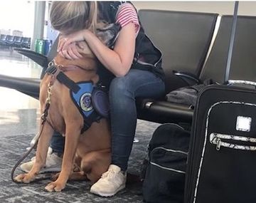 VIDEO: Tuvo un ataque de pánico en el aeropuerto y su perro logró calmarla