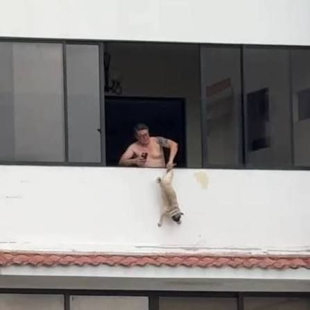 Aberrante: filmaron a un hombre mientras colgaba a su perro del balcón de un quinto piso y terminó detenido