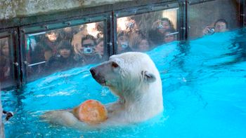 un informe de 2008 advirtio por las condiciones de winner un informe de 2008 advirtio por las condiciones de winner