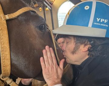 Al apoyar una contradicción