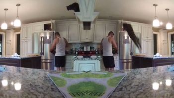 un gato volador salto por encima de su dueno y le arruino la comida un gato volador salto por encima de su dueno y le arruino la comida