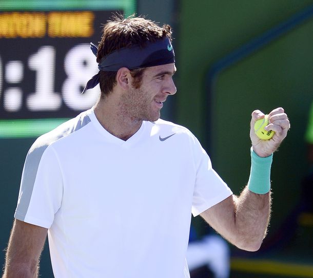 Del Potro saludó al equipo argentino por la victoria